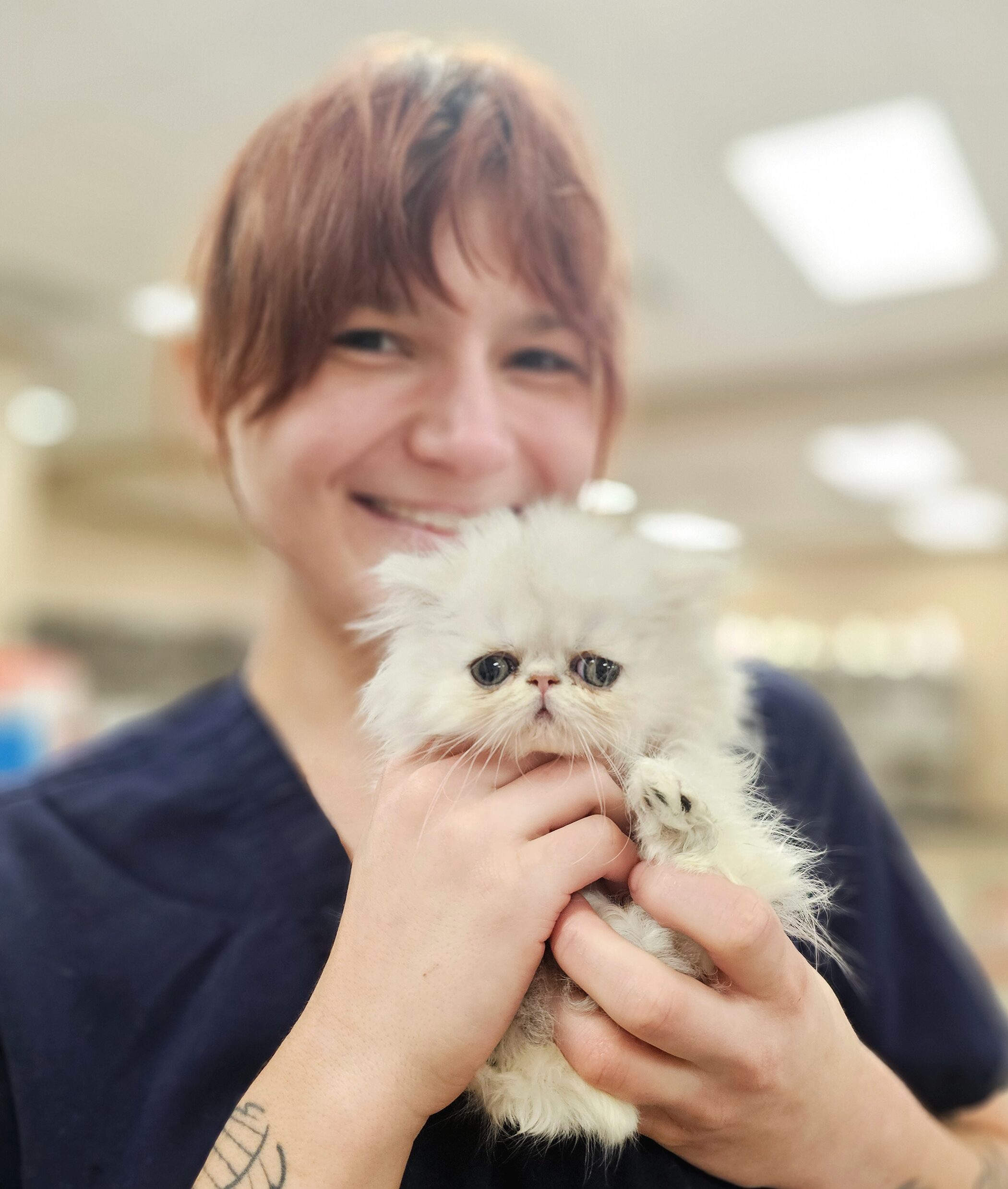 Affordable Cat Spay & Neuter Near Southlake, TX