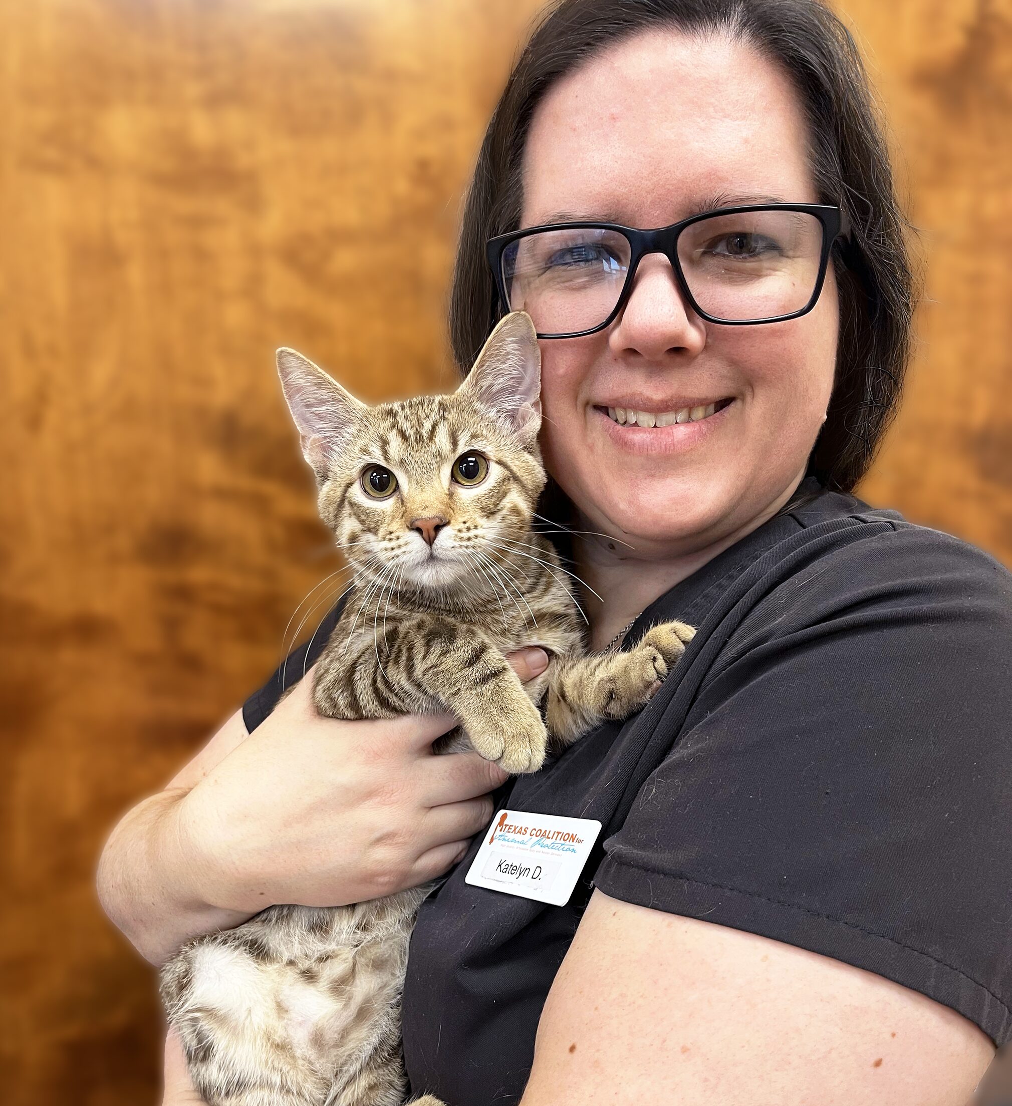 Affordable Cat Spay & Neuter Near Sunnyvale, TX