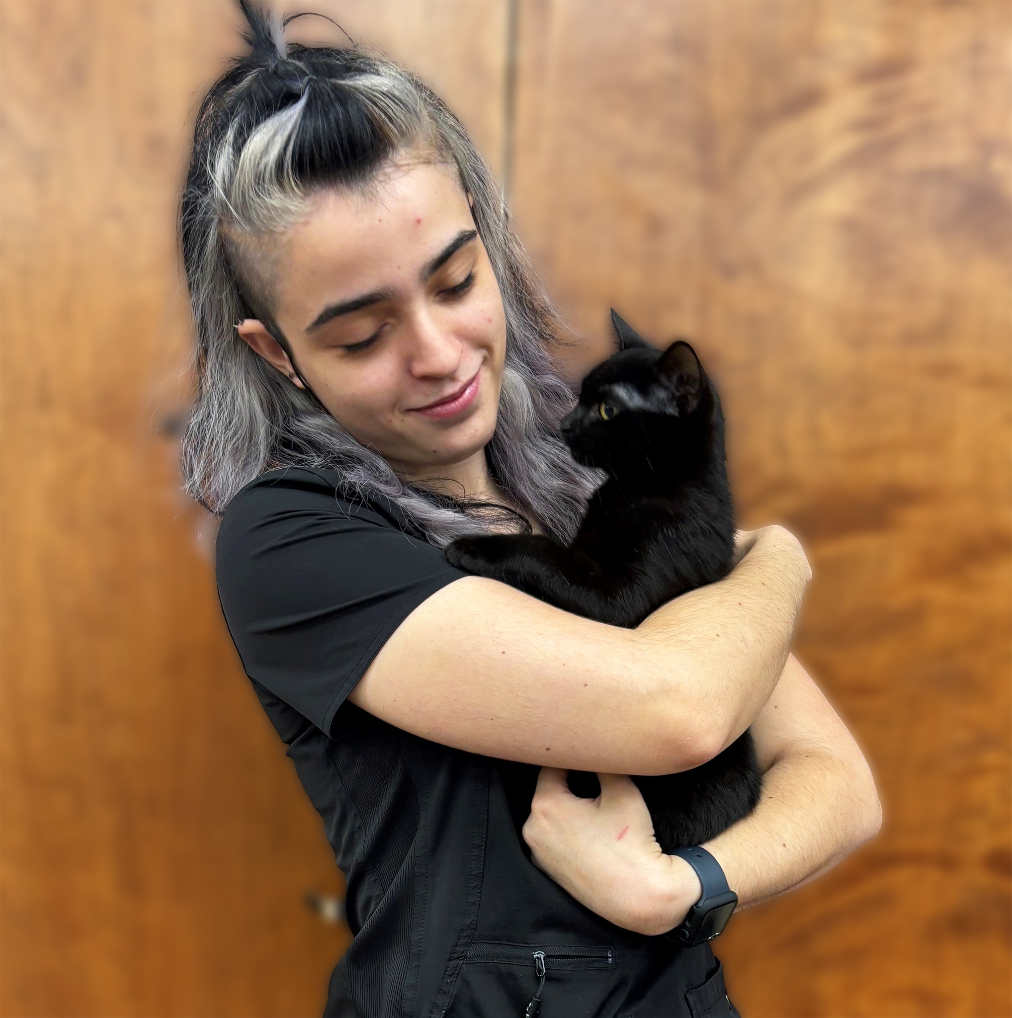 Affordable Cat Spay & Neuter Near Weston, TX
