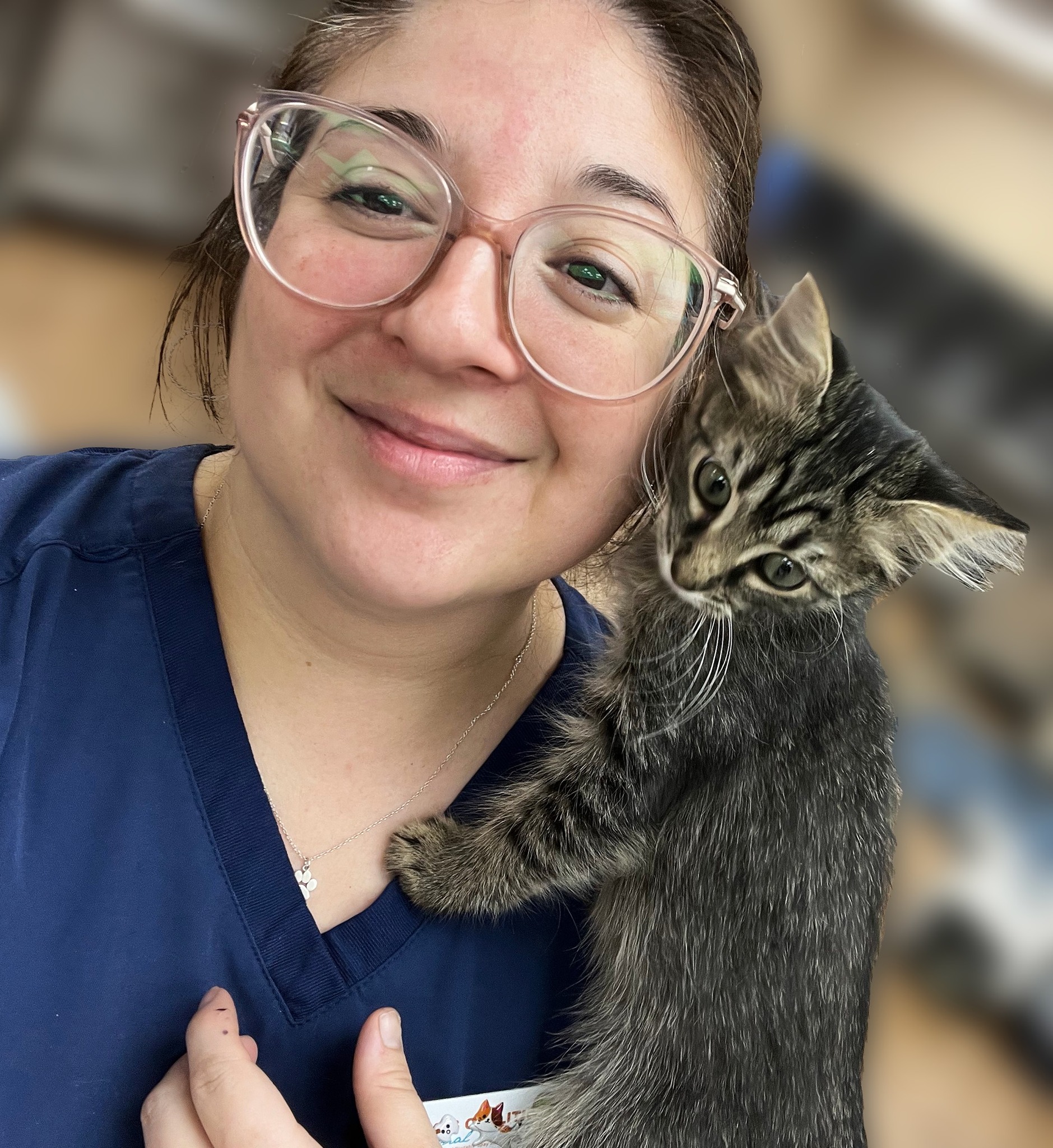 Affordable Cat Spay & Neuter Near Springtown, TX