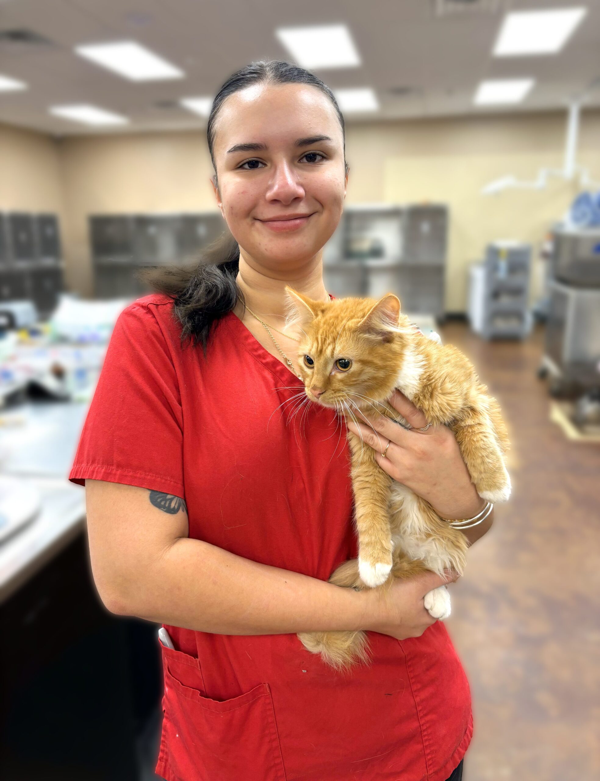 Affordable Cat Spay & Neuter Near Tolar, TX