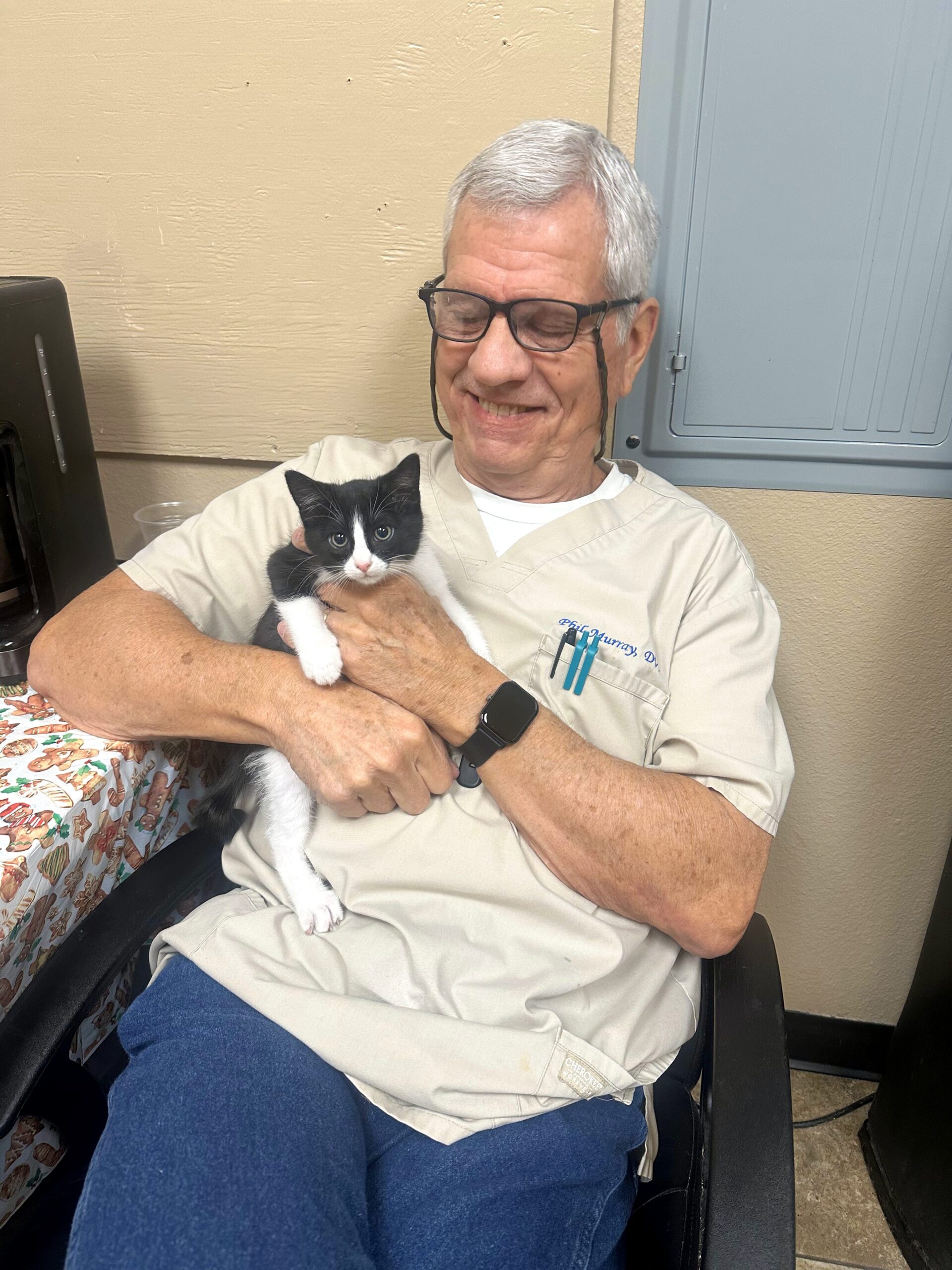 Affordable Cat Spay & Neuter Near Wolfe City, TX